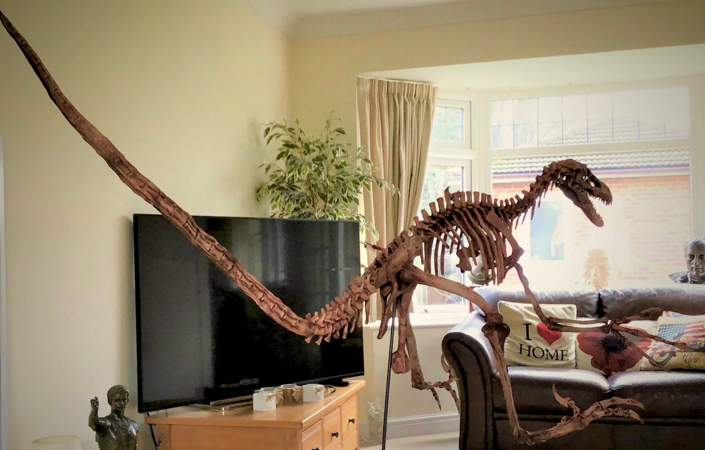Velociraptor Skeleton Replica Fossil by TRIASSICA