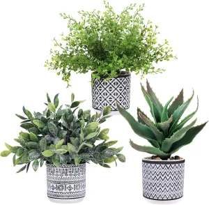 Winlyn Set of 3 Assorted Small Potted Plants Faux Eucalyptus Boxwood Plants Aloe Succulent Plant in Black and White Geometric Pots for Table Centerpiece Windowsill Shelf Indoor Outdoor Greenery Decor